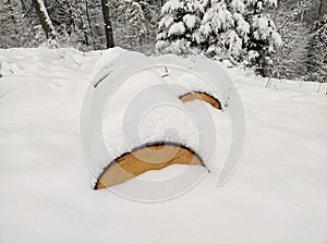 Cut logs snow-covered lie in deep snow at forest border