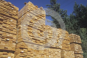 Cut lumber neatly stacked
