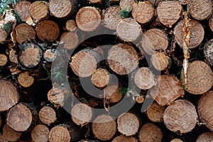 Cut Lumber in a Stack