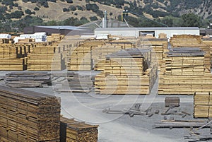 Cut lumber stacked