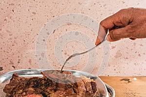 Cut of meat `Aguja norteÃÂ±a Sonora`, served on a silver plate in the shape of a cow 3 photo