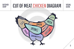 Cut of meat set. Poster Butcher diagram and scheme - Chicken