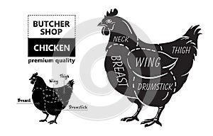 Cut of meat set. Poster Butcher diagram and scheme - Chicken. Vintage typographic hand-drawn