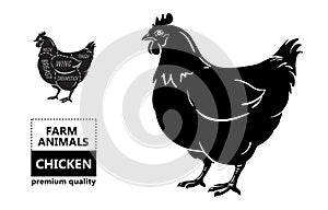 Cut of meat set. Poster Butcher diagram and scheme - Chicken. Vintage typographic hand-drawn