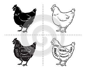 Cut of meat set. Poster Butcher diagram and scheme - Chicken. Vintage typographic hand-drawn