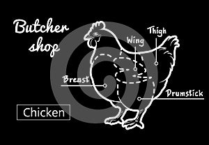 Cut of meat set. Poster Butcher diagram and scheme - Chicken. Vintage typographic hand-drawn