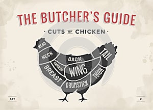 Cut of meat set. Poster Butcher diagram and scheme - Chicken. Vintage typographic hand-drawn. Vector illustration.