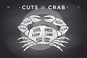 Cut of meat set. Poster Butcher diagram and scheme - Crab