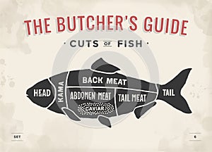 Cut of meat set. Poster Butcher diagram and scheme - Fish. Vintage typographic hand-drawn