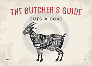 Cut of meat set. Poster Butcher diagram, scheme - Goat