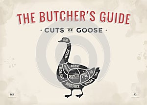 Cut of meat set. Poster Butcher diagram, scheme - Goose