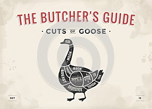 Cut of meat set. Poster Butcher diagram, scheme - Goose photo