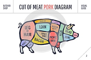 Cut of meat set. Poster Butcher diagram, scheme and guide - Pork.