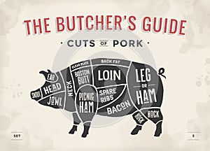 Cut of meat set. Poster Butcher diagram, scheme and guide - Pork. Vintage typographic hand-drawn. Vector illustration.