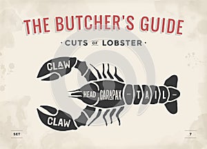 Cut of meat set. Poster Butcher diagram and scheme - Lobster