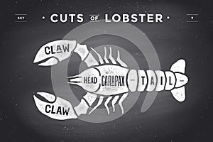 Cut of meat set. Poster Butcher diagram and scheme - Lobster