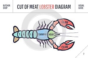 Cut of meat set. Poster Butcher diagram and scheme - Lobster