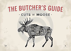 Butcher diagram, scheme - Moose