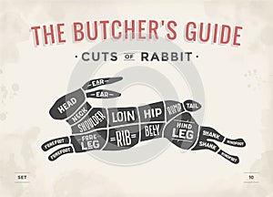 Cut of meat set. Poster Butcher diagram, scheme - Rabbit