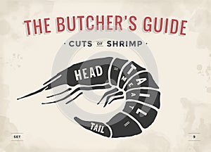 Cut of meat set. Poster Butcher diagram and scheme - Shrimp