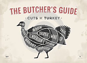 Cut of meat set. Poster Butcher diagram, scheme - Turkey