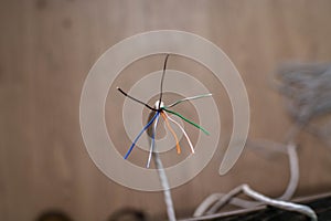 Ethernet cable for a local network. Twisted-pair.