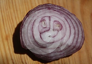 cut onion, similar to the face