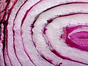 Cut onion texture