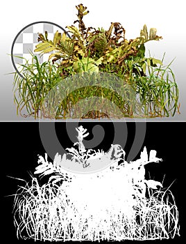 Cut out fern plant and grass