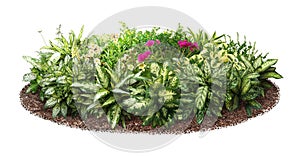 Cut out flowerbed. Garden design.