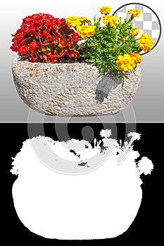 Cut out flowers in pot