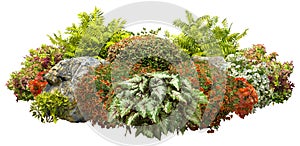 Cut out garden design. Landscaping