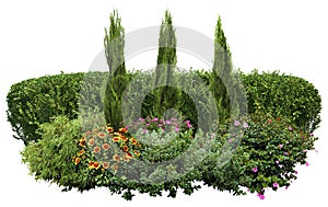 Cut out green hedge. Garden design