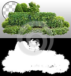 Cut out green hedge. Garden design