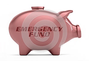 Cut-out object shot of a pink piggy bank with the copy EMERGENCY FUND isolated on a white background.