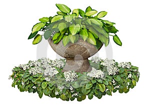 Cut out potted plant. Garden design