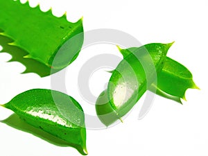 Aloe vera sliced