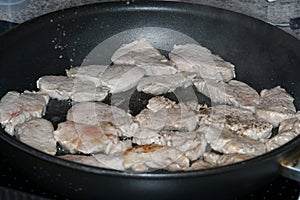 Cut pork tenderloin as medallions and sauted on both sides in the pan