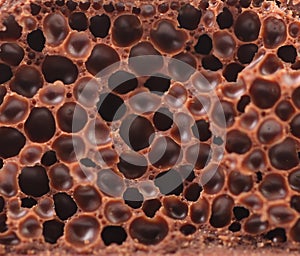 Cut of porous milk chocolate. Macro.