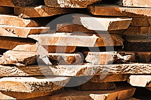 Cut Raw Timber Wood Logs