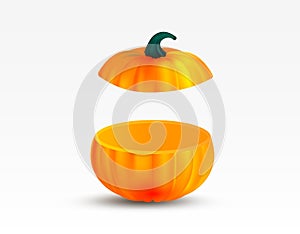 Cut realistic orange color pumpkin isolated on white background. Two pieces of pumpkin. 3D object for design. Vector