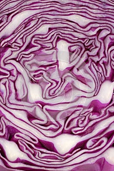 Cut red cabbage