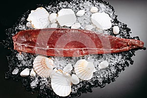 Cut red fish fillet with shells and pebbles on ice