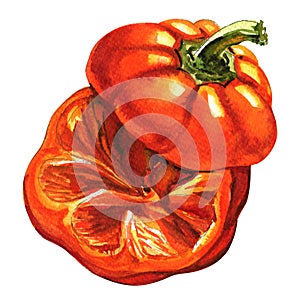 Cut red pepper isolated, top view, watercolor illustration on white