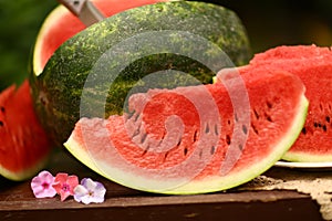 Cut ripe big water melon still life with knife on green garden background photo