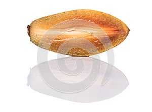 Cut Sapodilla Or Ciku Fruit II