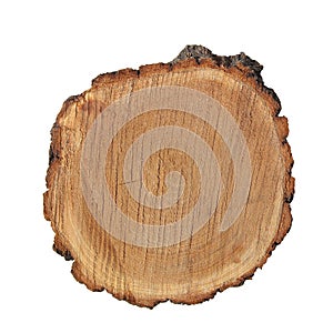 A cut of sawn wood. A piece of wood on a white background