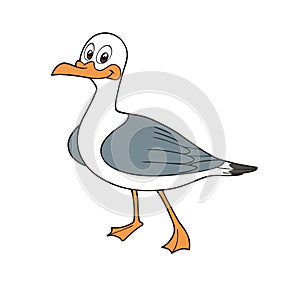 Cut sea gull cartoon  design