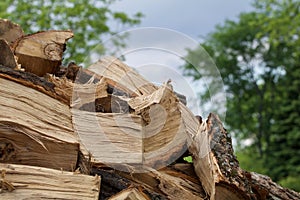 Cut and Split Oak Against the Sky