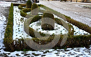 cut squares of flowerbed edging in a historic garden made of